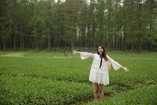 森林氧吧中,武汉这喝茶地太赞了! 森林氧吧中,武汉这喝茶地太赞了!
